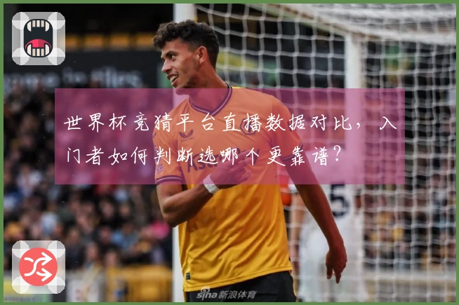 世界杯竞猜平台直播数据对比，入门者如何判断选哪个更靠谱？