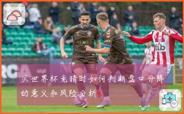 买世界杯竞猜时如何判断盘口升降的意义和风险分析