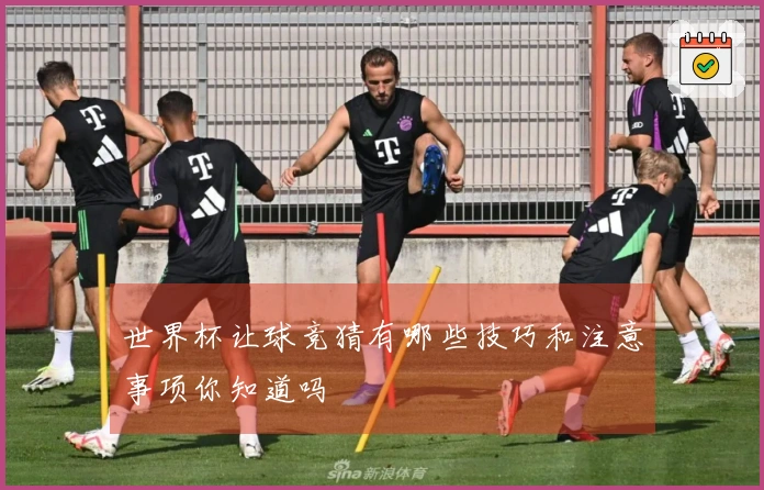 世界杯让球竞猜有哪些技巧和注意事项你知道吗