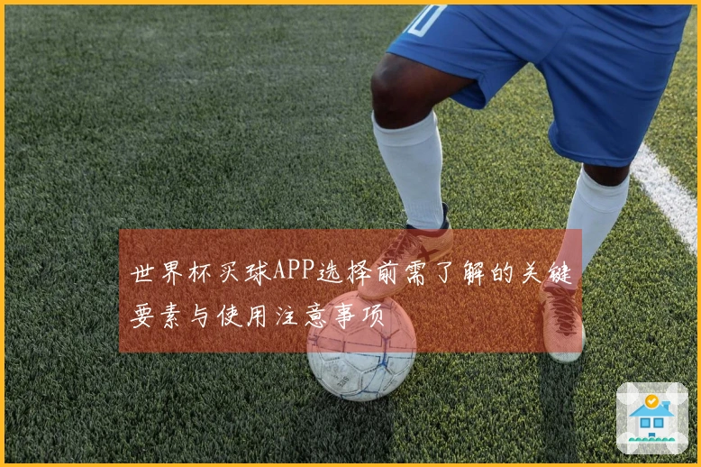世界杯买球APP选择前需了解的关键要素与使用注意事项