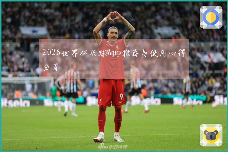 2026世界杯买球App推荐与使用心得分享