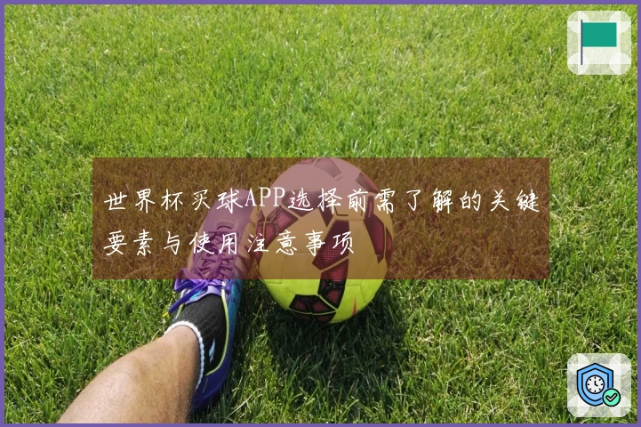 世界杯买球APP选择前需了解的关键要素与使用注意事项