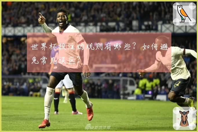 世界杯投注的规则有哪些？如何避免常见误区？