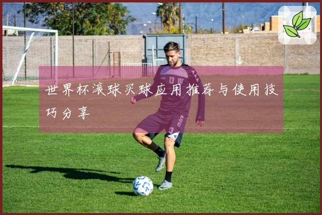 世界杯滚球买球应用推荐与使用技巧分享