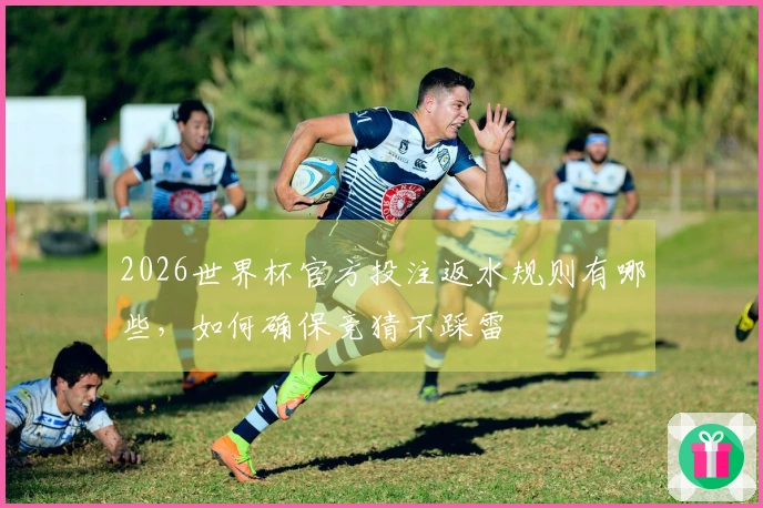 2026世界杯官方投注返水规则有哪些，如何确保竞猜不踩雷