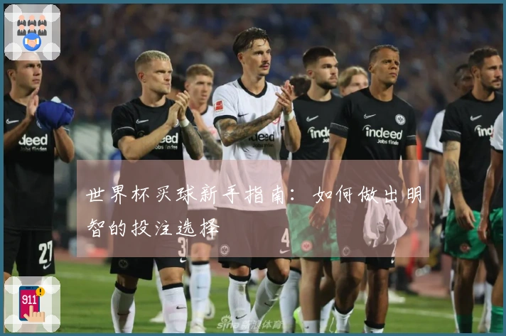 世界杯买球新手指南：如何做出明智的投注选择