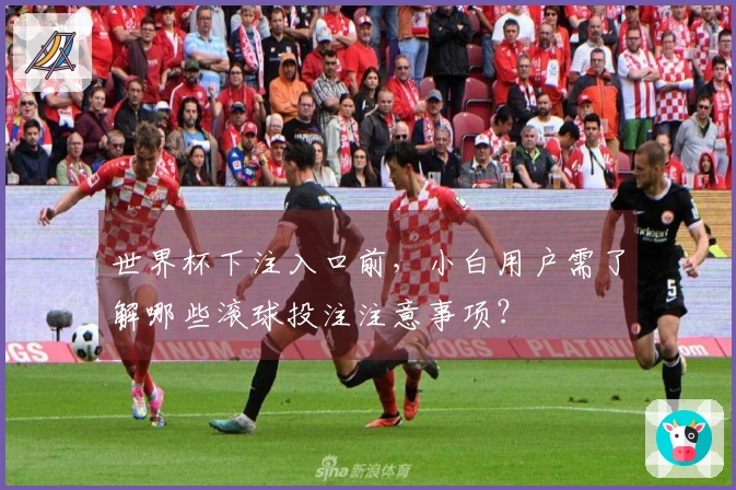世界杯下注入口前,小白用户需了解哪些滚球投注注意事项?