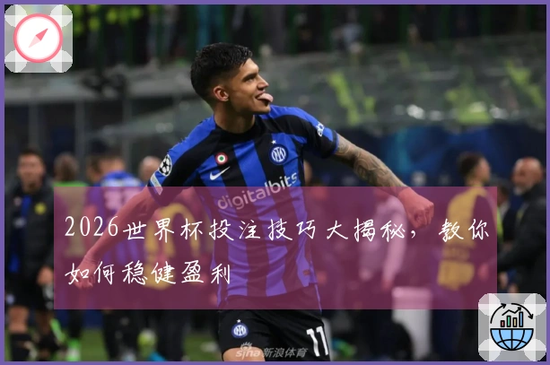 2026世界杯投注技巧大揭秘，教你如何稳健盈利